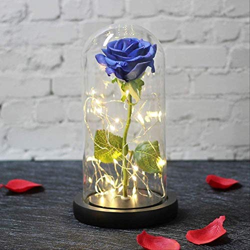 MUCHEN SHOP La Bella y La Bestia Rosa,Kit de Rosa Eterna Luz LED Rosa Encantada en Cúpula Vidrio Rosas de Seda para Día la Madre Día de San Valentín Aniversario Bodas Símbolo de Amor Roja (Flor Azul)