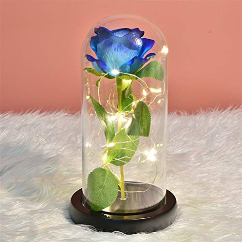 MUCHEN SHOP La Bella y La Bestia Rosa,Kit de Rosa Eterna Luz LED Rosa Encantada en Cúpula Vidrio Rosas de Seda para Día la Madre Día de San Valentín Aniversario Bodas Símbolo de Amor Roja (Flor Azul)