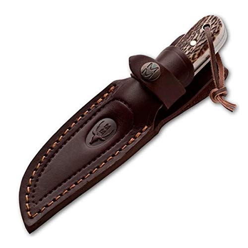 Muela Cuchillo BISON-9OL Hoja de Acero MoVa de 9 cm y empuñadura de Olivo para Caza, Pesca, Supervivencia y Bushcraft Realizado en Ciudad Real + Portabotellas de Regalo