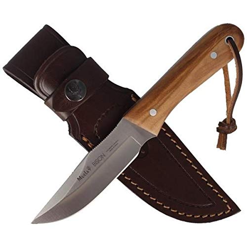 Muela Cuchillo BISON-9OL Hoja de Acero MoVa de 9 cm y empuñadura de Olivo para Caza, Pesca, Supervivencia y Bushcraft Realizado en Ciudad Real + Portabotellas de Regalo