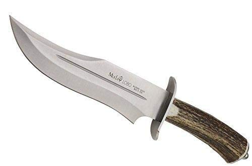 Muela Cuchillo de caza LOBO-23S hoja de acero inoxidable MoVa de 23 cm y empuñadura de asta de ciervo para Caza, Pesca, Supervivencia y Bushcraft + Portabotellas de regalo