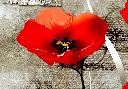 murando - Cuadro en Lienzo Amapolas 200x100 cm Flores Impresión de 5 Piezas Material Tejido no Tejido Impresión Artística Imagen Gráfica Decoracion de Pared Rojo Flores Naturaleza b-A-0001-b-o