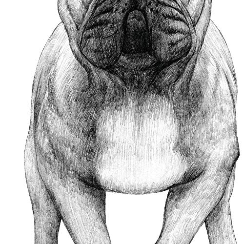 Nacnic Pack de Posters de Perros de Raza descripcion. Láminas Decorativas de Perros. Tamaño A4