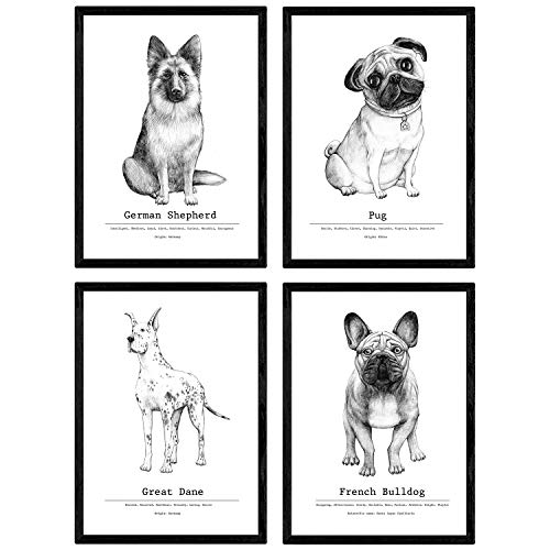 Nacnic Pack de Posters de Perros de Raza descripcion. Láminas Decorativas de Perros. Tamaño A4