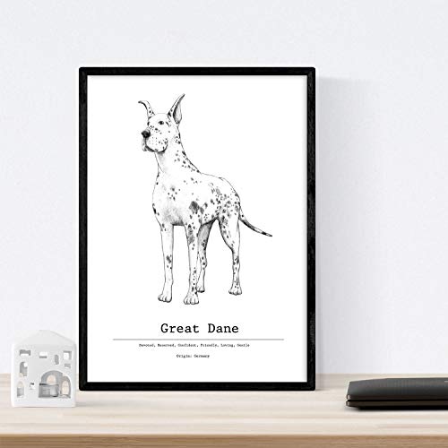 Nacnic Pack de Posters de Perros de Raza descripcion. Láminas Decorativas de Perros. Tamaño A4