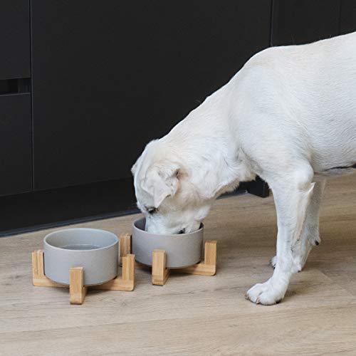 Navaris 2 Cuencos elevados para Mascotas - Comedero y Bebedero de cerámica para Perros y Gatos - 2 Recipientes con Soportes de bambú Antideslizante