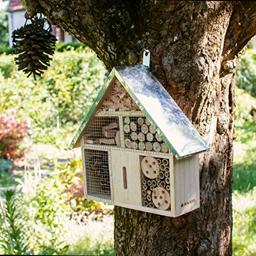 Navaris Hotel de Insectos Madera M - observatorio de Insectos 24,5 x 28 x 7,5cm - casa Natural con Cubierta metálica y Gancho para Diferentes bichos