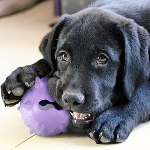 Navaris Juguete para Masticar para Perros - Juego de alimentación para Perro - Hueso y Bola de Caucho Natural - Set de Limpieza Dental
