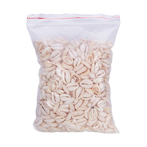 NBEADS 500 g/470 Piezas Mixed Natural Spiral Cowrie Shell Cuentas Conchas Marinas de la Playa Cowrie Shell encantos para la fabricación de Joyas de Bricolaje o Deco Crafts