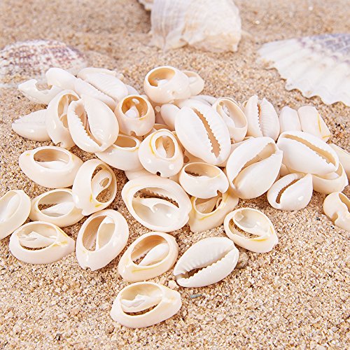 NBEADS 500 g/470 Piezas Mixed Natural Spiral Cowrie Shell Cuentas Conchas Marinas de la Playa Cowrie Shell encantos para la fabricación de Joyas de Bricolaje o Deco Crafts