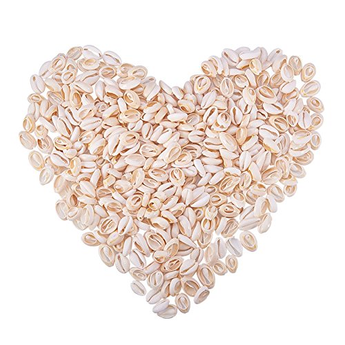 NBEADS 500 g/470 Piezas Mixed Natural Spiral Cowrie Shell Cuentas Conchas Marinas de la Playa Cowrie Shell encantos para la fabricación de Joyas de Bricolaje o Deco Crafts