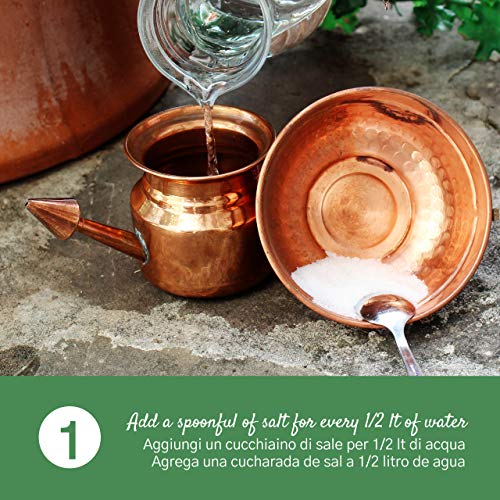 Neti Pot en Cobre para Limpiar y Desinfectar las fosas nasales - 250 ml - Práctica Ayurvédica - Jala Neti Hatha Yoga - para el drenaje de los senos frontales y para limpiar las vías respiratorias