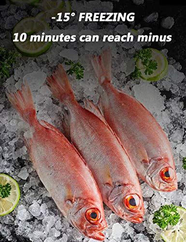 Nevera PequeñA, 20l Frigorificos PequeñOs Refrigerador Compacto Bajo Consumo MúLtiples Usos Sistema No Frost For CosméTicos, Bebidas, Alimentos O Medicamentos