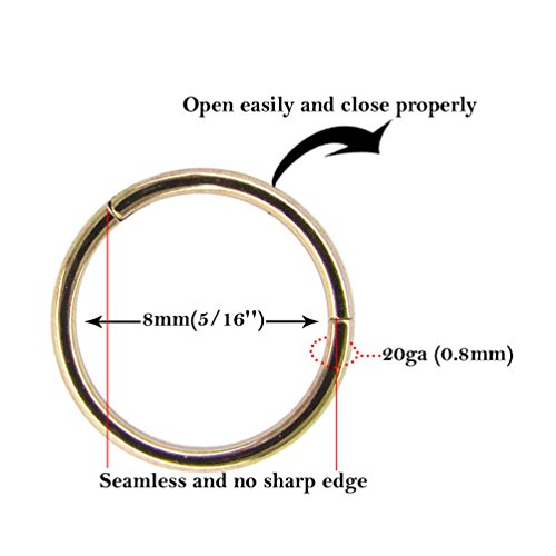 NewkeepsR 20G 8mm (5/16'') Oro Rosa anodizado Bisagra Clicker Nariz Aro Anillo Acero Inoxidable 316L Segmento Durmiente Pendientes Pendientes Piercing