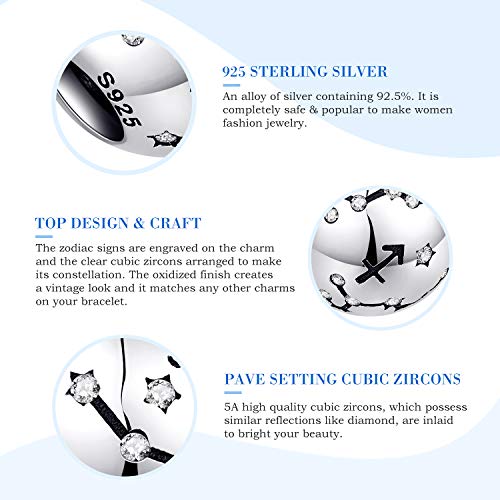 NINGAN Piscis Encantos del Cumpleaños de 12 Signos del Zodiaco - Encantos de Plata Esterlina de 925 Ajustan Pulsera & Collar- Regalos de cumpleaños Ideales para Mujeres y Amigos