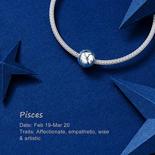 NINGAN Piscis Encantos del Cumpleaños de 12 Signos del Zodiaco - Encantos de Plata Esterlina de 925 Ajustan Pulsera & Collar- Regalos de cumpleaños Ideales para Mujeres y Amigos