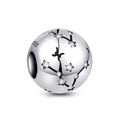 NINGAN Piscis Encantos del Cumpleaños de 12 Signos del Zodiaco - Encantos de Plata Esterlina de 925 Ajustan Pulsera & Collar- Regalos de cumpleaños Ideales para Mujeres y Amigos