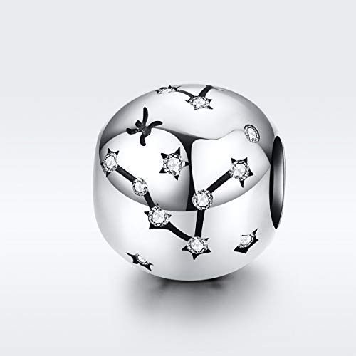 NINGAN Piscis Encantos del Cumpleaños de 12 Signos del Zodiaco - Encantos de Plata Esterlina de 925 Ajustan Pulsera & Collar- Regalos de cumpleaños Ideales para Mujeres y Amigos