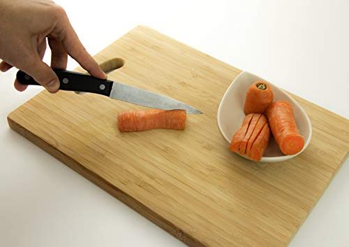 Nirosta Multiusos 22cm, Cuchillo para Todo Tipo de usos, Acero Inoxidable, Centimeters
