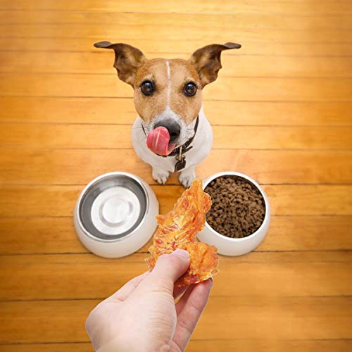 Nobleza - Premios para Perros, Golosina Natural para Perros con cecina de Pollo, mordeduras de Carne de pechuga de Pollo Premium, golosinas para Entrenamiento de Cachorros, Paquete de 6, 600 g