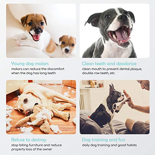 Nobleza - Premios para Perros, Golosina Natural para Perros con cecina de Pollo, mordeduras de Carne de pechuga de Pollo Premium, golosinas para Entrenamiento de Cachorros, Paquete de 6, 600 g