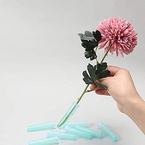 Nuluxi Flores Tubos de Agua de Plástico Transparentes Floristería Flor Contenedor De Agua Tubo De Flores Suministros Florales para Flores, Floristería, Arreglos Florales y Plantas Hidropónicas (7cm)