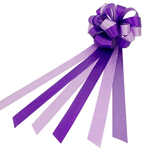 Nuluxi Lazos de Boda Coche con Cinta Lazos de Regalo para Montar de Boda Lazos Regalos Grandes para Coche Boda para Arreglos Florales Cestas Coches de Boda Decoraciones de Fiesta-10 Piezas (Púrpura)