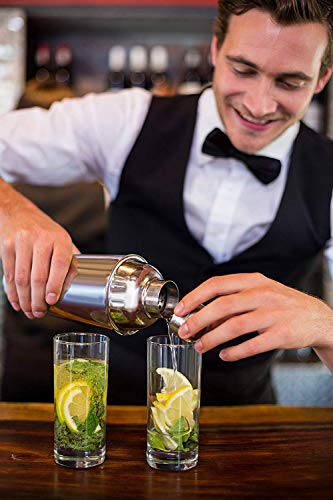 Oak & Steel 10 Piezas Profesional Coctelera de Cóctel Set, Coctelería de Bar| Completar Acero Inoxidable Coctel Bebida Cocktail Shaker Set| Elegante Caja de Regalo