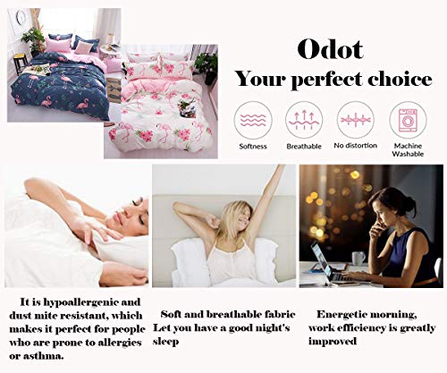 Odot Ropa de Cama Juego de Funda de Edredón 4 Piezas King Size, Juego de Cama Microfibra Cómodo Funda de Nórdico y Funda de Almohada Sábana Encimera Familiar y Niños (200x230cm