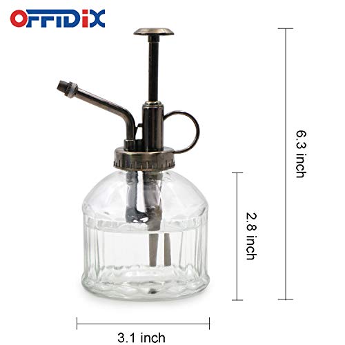 OFFIDIX Botella de Spray de riego de Vidrio Transparente, Niebla Vegetal con Bomba Superior de plástico de Bronce Regadera de Flores para regar Plantas pequeñas Dentro del hogar u Oficina