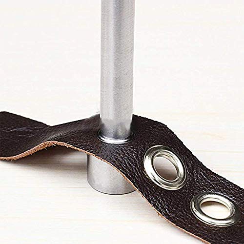 Ojetes Metalicos ZKSM 100Pcs Ojales Metalicos kit Ojetes 10mm Acero Inoxidable Herramienta de Montaje de Arandela con Caja de Almacenamiento Ojetes para Toldos Lonas Ojales Ropa DIY (2/5 Pulgada)