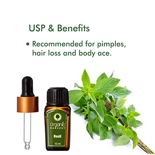 Organic Harvest Hierbas ayurvédicas albahaca Pure Essential Oil productos químicos agresivos, ingredientes de origen animal, parabenos, aceite mineral, o pesticidas (0,338 / onza líquida