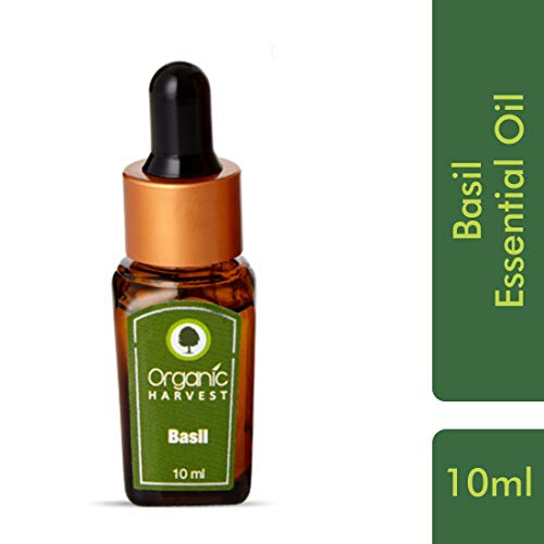 Organic Harvest Hierbas ayurvédicas albahaca Pure Essential Oil productos químicos agresivos, ingredientes de origen animal, parabenos, aceite mineral, o pesticidas (0,338 / onza líquida