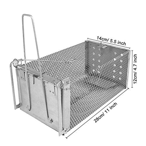 Osaloe Trampa para Ratones Vivos, 2 Juegos de Jaulas de Ratones Humano y Reutilizable, Trampas para Ratas de Acero Inoxidable, Captura para Hogar Jardín Interior y Exterior (26,5 x 14 x 11 cm)