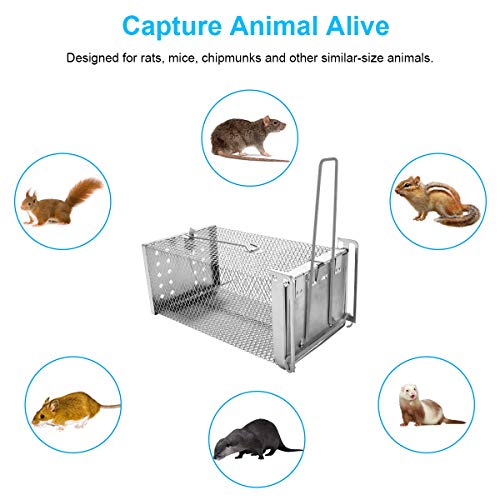 Osaloe Trampa para Ratones Vivos, 2 Juegos de Jaulas de Ratones Humano y Reutilizable, Trampas para Ratas de Acero Inoxidable, Captura para Hogar Jardín Interior y Exterior (26,5 x 14 x 11 cm)