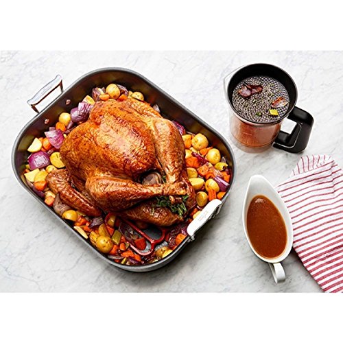 OXO Good Grips Buena Gravy Separador de Grasas - 1L - 12.95 x 21.59 x 17,78 cm