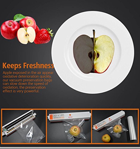 Pack de 5 Rollos Bolsas Paquete para Dispositivo Envasadora Envasado al Vacío 15 x 500cm Bolsos de Vacío para el Almacenamiento de Alimentos