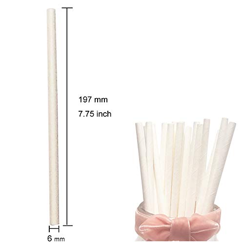 Pajitas de papel blanco liso para beber, reciclable caja de papel kraft 100 para el hogar (blanco)