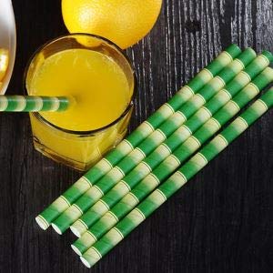 Pajitas de papel de bambú extraanchas de 10 mm para licuados de fruta y batidos con leche (caja de papel con 32 pajitas)
