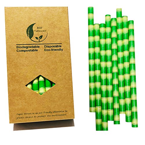 Pajitas de papel de bambú extraanchas de 10 mm para licuados de fruta y batidos con leche (caja de papel con 32 pajitas)
