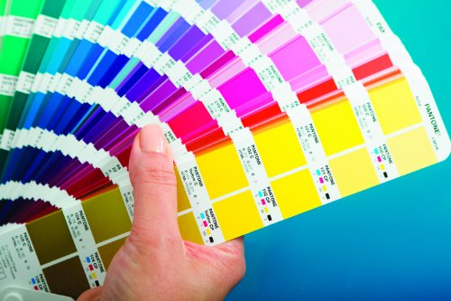 Pantone COLOR BRIDGE - Carta de color