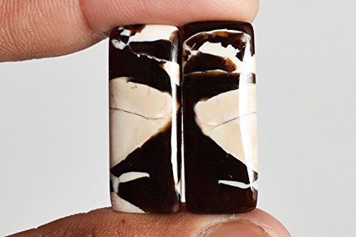 Par de pendientes de jaspe de madera de cacahuete genuino, tamaño 27 x 10 x 3,5 mm, rectangular, par de pendientes de piedra AG-9490