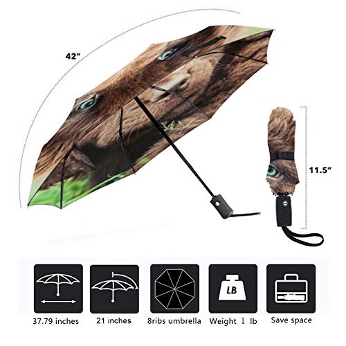 Paraguas Plegable Auto Perro De Escocia Creativo Impresión A Prueba De Viento Anti-Uv Herramientas De Lluvia Parasol Inverso Moda De Viaje Ergonómico 8 Costillas Compacto Regalo Portátil Al Aire Li