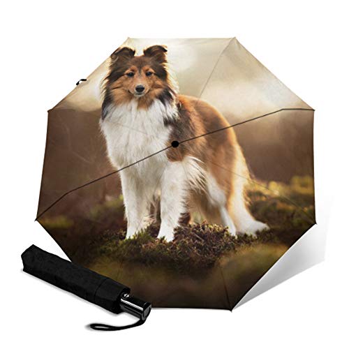 Paraguas Plegable Auto Perro De Escocia Creativo Impresión A Prueba De Viento Anti-Uv Herramientas De Lluvia Parasol Inverso Moda De Viaje Ergonómico 8 Costillas Compacto Regalo Portátil Al Aire Li