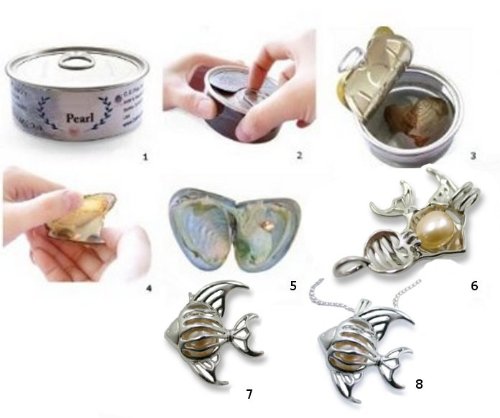 Pearlina Collar de Peces Deseos cultivados Conjunto de ostras Perlas Jaula chapada en Tono Plateado con Cadena de Acero Inoxidable para niñas 18"