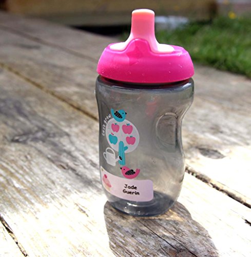 Pegatinas Personalizadas Con El Nombre Y Apellido | Adhesivos Personalizados Impermeables Con Motivos De Dinosaurios (40)