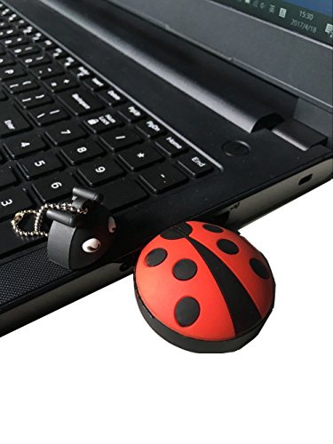 PENDRIVE aneew diseño de mariquita rojo insectos USB 2.0 Flash Drive de memoria pulgar stick Ladybug 16 gb
