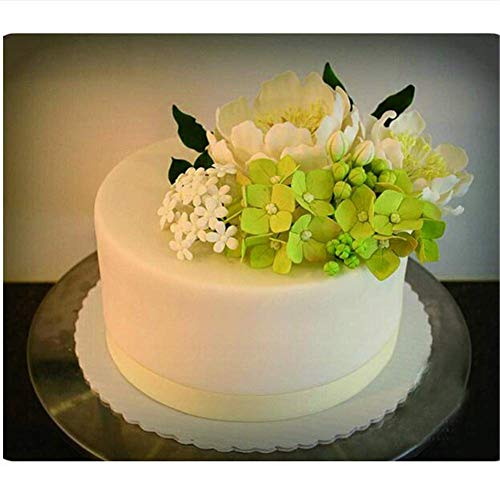 Pétalo de la Flor Veinier Silicona Moldes Acero Inoxidable Fondant Cortador Juego, Decoración Tartas Toosl Galletas para Hornear, Fuente Horno Sugarcract Chocolate Pasta Goma - Orquideas Juego