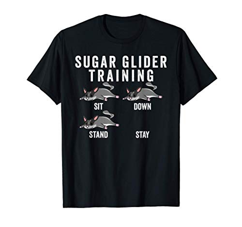 Petauro Del Azúcar Training Mascota Camiseta
