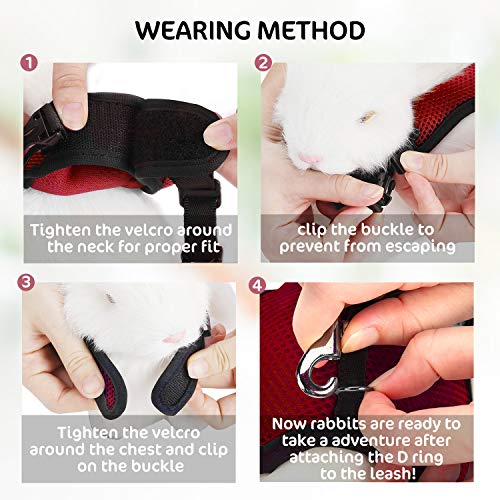 Petcomer - Arnés ajustable para coche - Seguridad para perros - Correa cómoda, cintas ajustables, relleno suave, con hebilla de cinturón para coche
